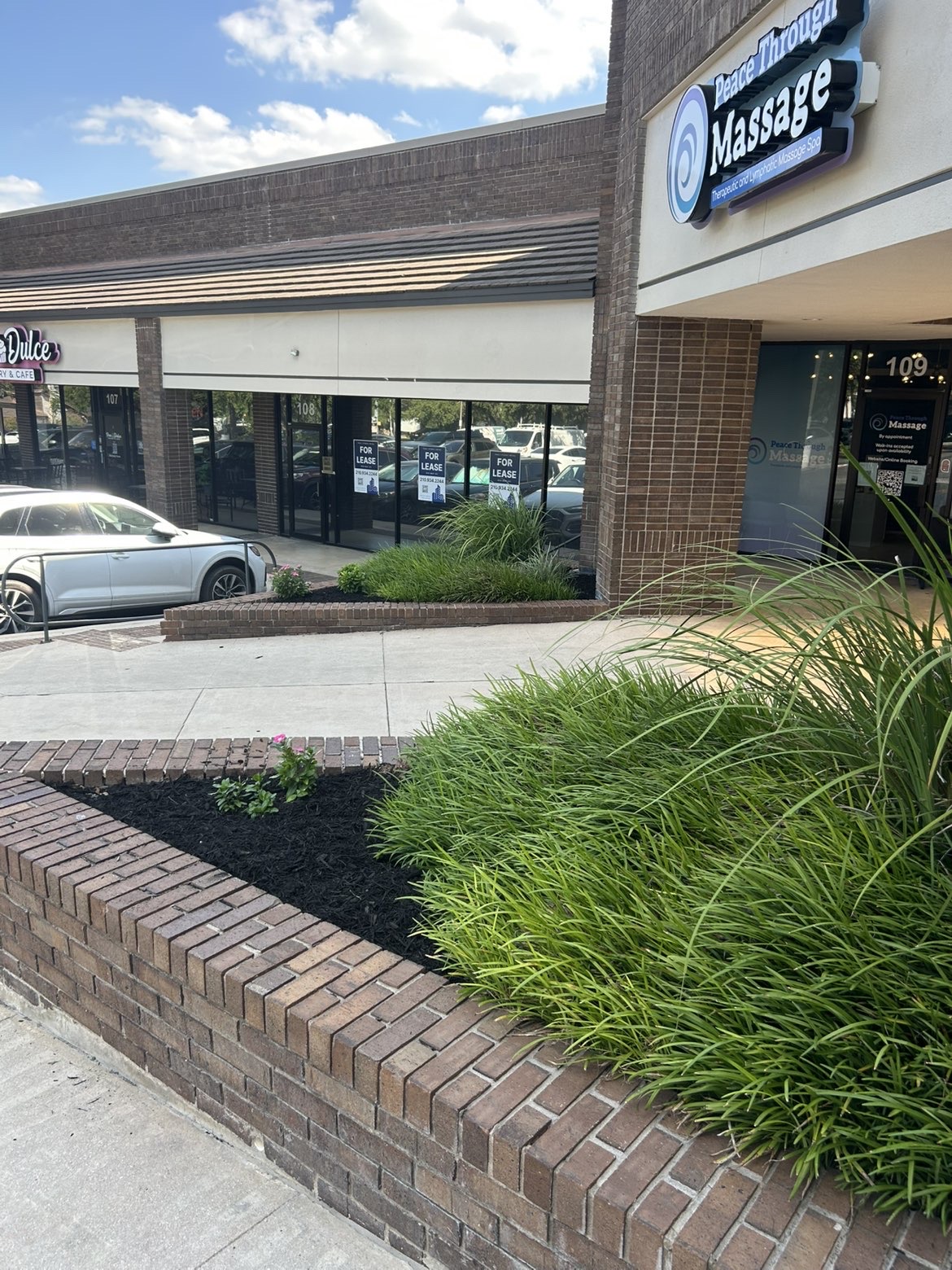Fresh black mulch and new plantings in a brick-bordered bed at a San Antonio retail center.